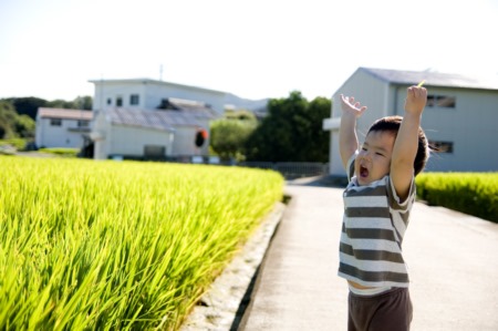 男孩起名