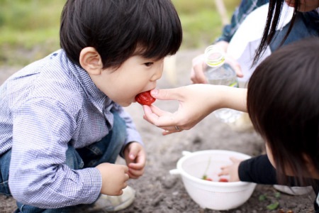 男孩取名