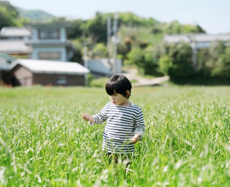 龙宝宝起名